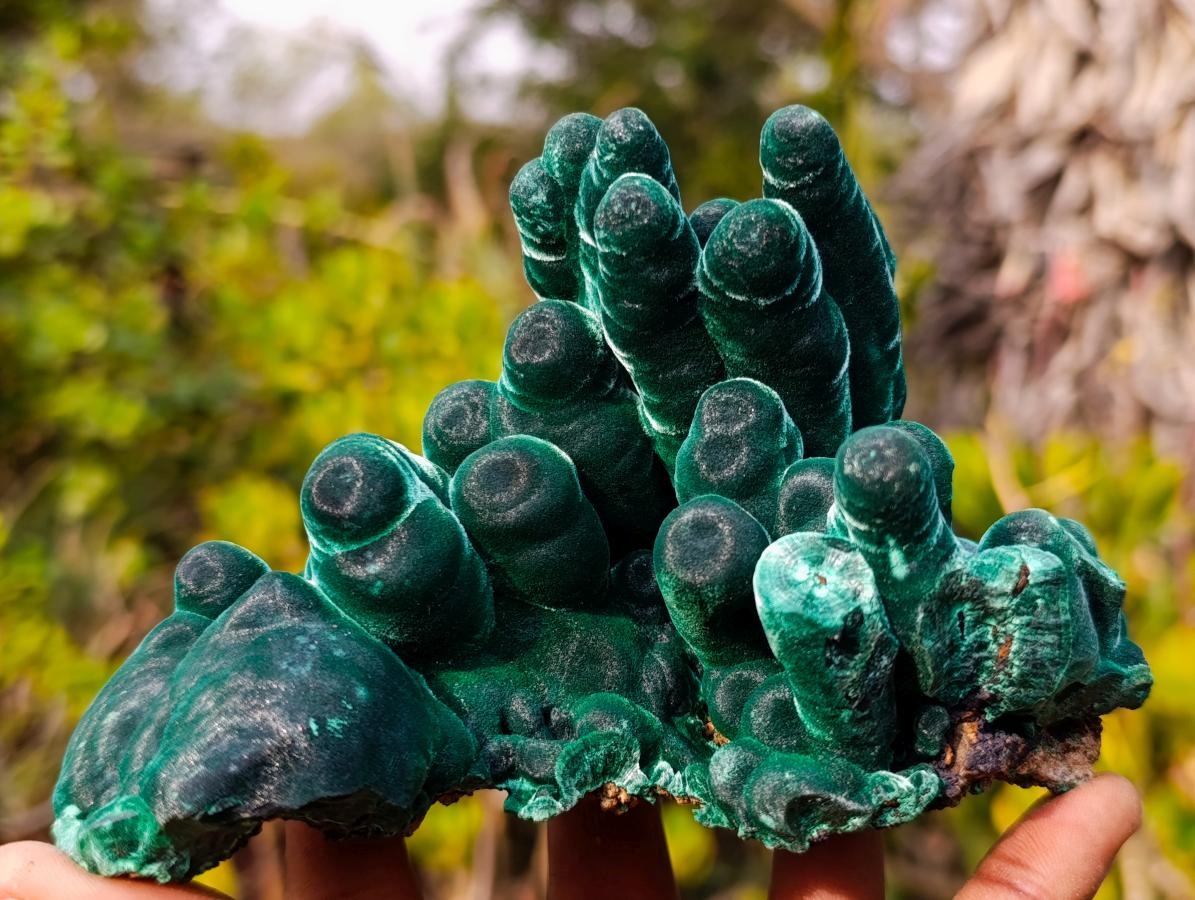 Natural Exquisite Velvet Malachite Stalactite Formation x 1 from Kasompe, Congo