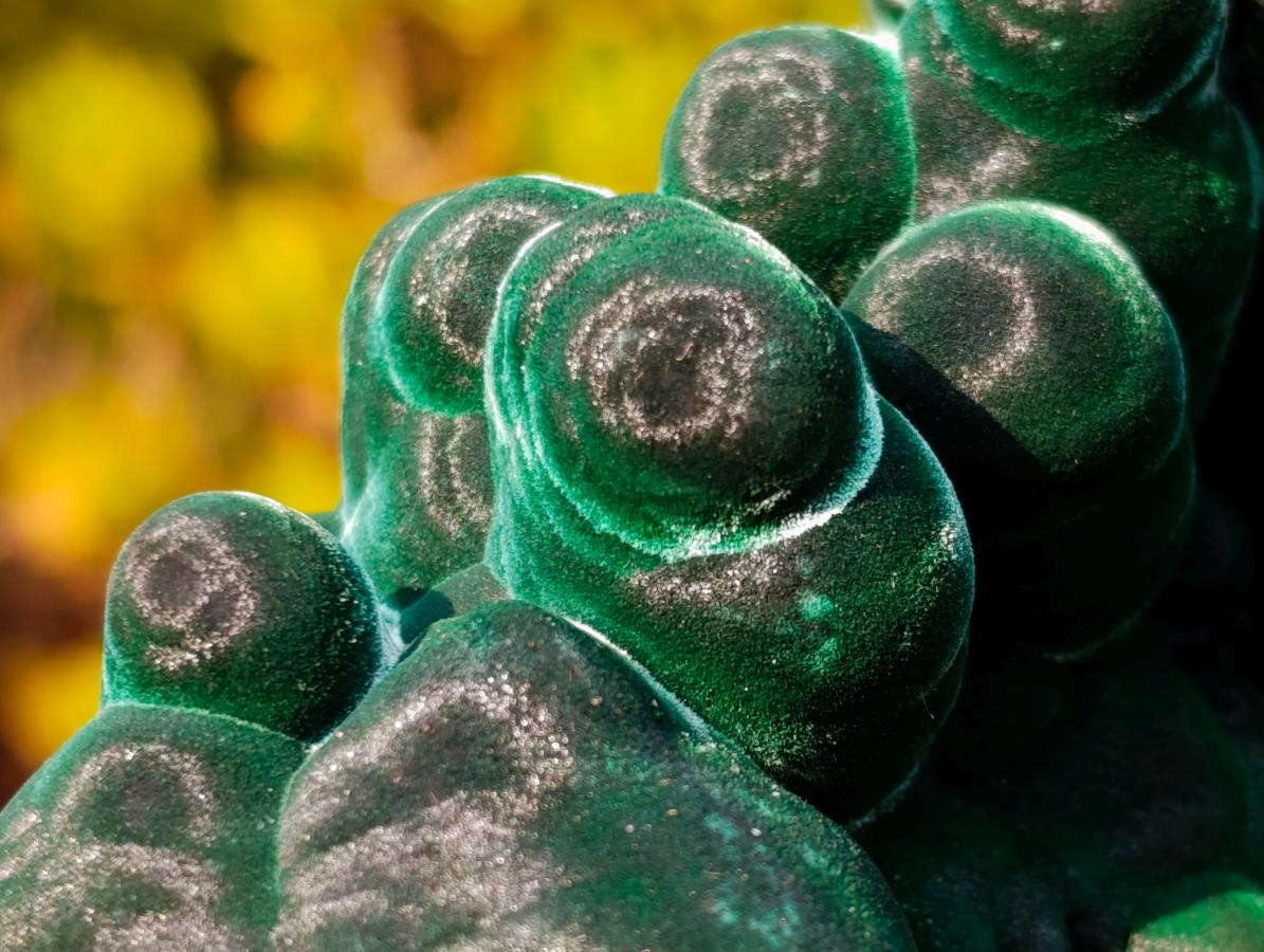 Natural Exquisite Velvet Malachite Stalactite Formation x 1 from Kasompe, Congo
