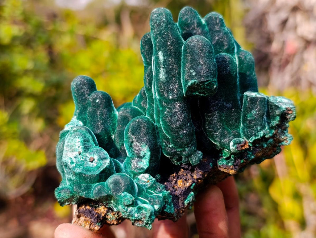 Natural Exquisite Velvet Malachite Stalactite Formation x 1 from Kasompe, Congo