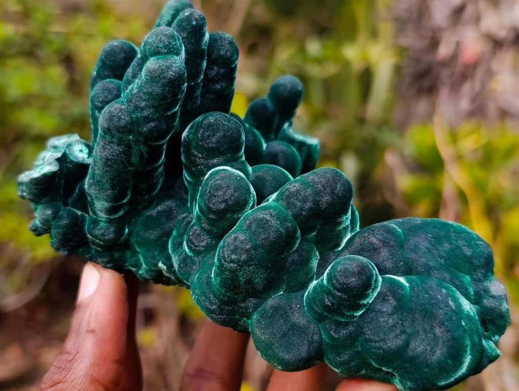 Natural Exquisite Velvet Malachite Stalactite Formation x 1 from Kasompe, Congo