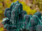 Natural Exquisite Velvet Malachite Stalactite Formation x 1 from Kasompe, Congo