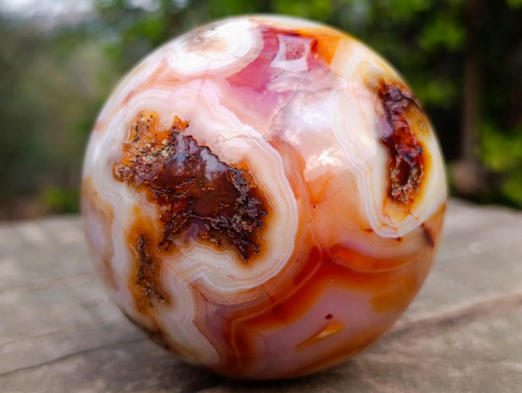 Polished Banded Carnelian Gemstone Sphere x 1 From Madagascar