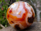 Polished Banded Carnelian Gemstone Sphere x 1 From Madagascar