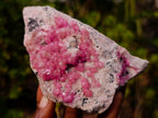 Natural Cabinet Size Rare Bright Pink Spherocobaltite Specimen x 1 From Mashamba West Mine, Congo