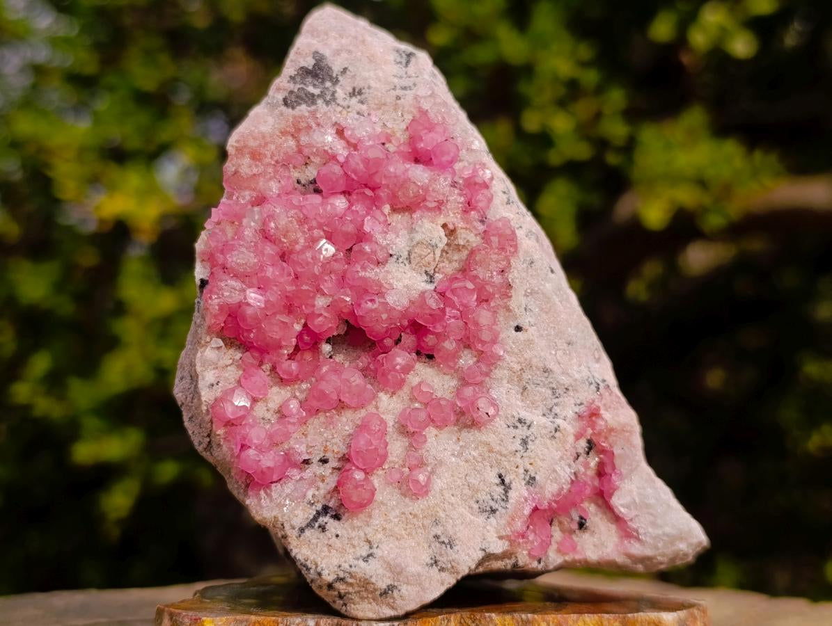 Natural Cabinet Size Rare Bright Pink Spherocobaltite Specimen x 1 From Mashamba West Mine, Congo