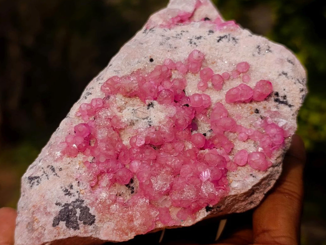 Natural Cabinet Size Rare Bright Pink Spherocobaltite Specimen x 1 From Mashamba West Mine, Congo