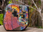 Polished Purple Sunset Labradorite Standing Display Piece x 1 From Tulear, Madagascar