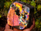 Polished Purple Sunset Labradorite Standing Display Piece x 1 From Tulear, Madagascar