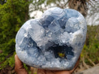 Polished and Natural Large Blue Celestite Heart x 1 From Sakoany Madagascar