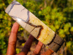 Polished Septerye Bowl x 1 From Mahajanga, Madagascar
