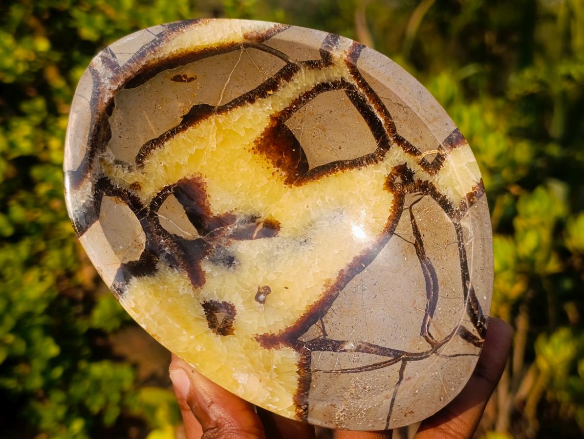 Polished Septerye Bowl x 1 From Mahajanga, Madagascar
