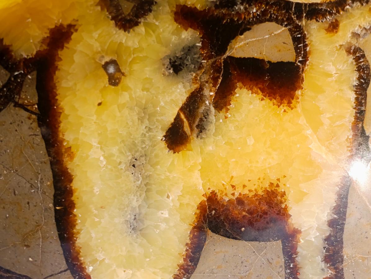 Polished Septerye Bowl x 1 From Mahajanga, Madagascar