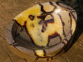 Polished Septerye Bowl x 1 From Mahajanga, Madagascar