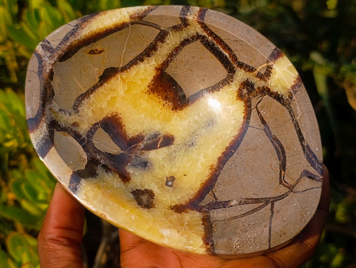 Polished Septerye Bowl x 1 From Mahajanga, Madagascar