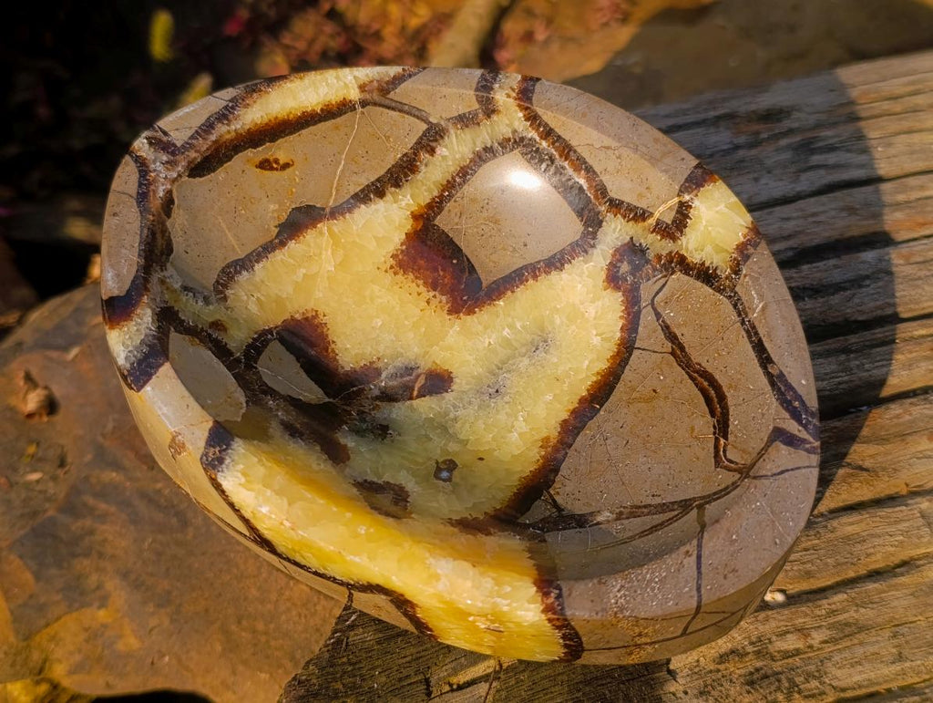 Polished Septerye Bowl x 1 From Mahajanga, Madagascar
