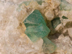 Natural Riemvasmaak Emerald Fluorite and Quartz Specimen x 1 From Riemvasmaak, South Africa