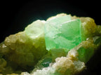 Natural Riemvasmaak Emerald Fluorite and Quartz Specimen x 1 From Riemvasmaak, South Africa