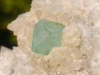 Natural Riemvasmaak Emerald Fluorite and Quartz Specimen x 1 From Riemvasmaak, South Africa