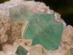 Natural Riemvasmaak Emerald Fluorite and Quartz Specimen x 1 From Riemvasmaak, South Africa