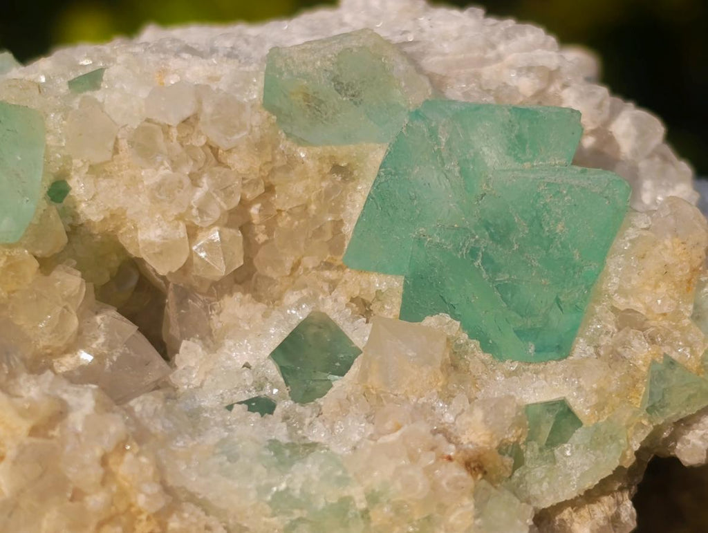 Natural Riemvasmaak Emerald Fluorite and Quartz Specimen x 1 From Riemvasmaak, South Africa