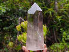 Polished Large Bright and Clear Smokey Quartz Display Crystal x 1 From Akansobe, Madagascar