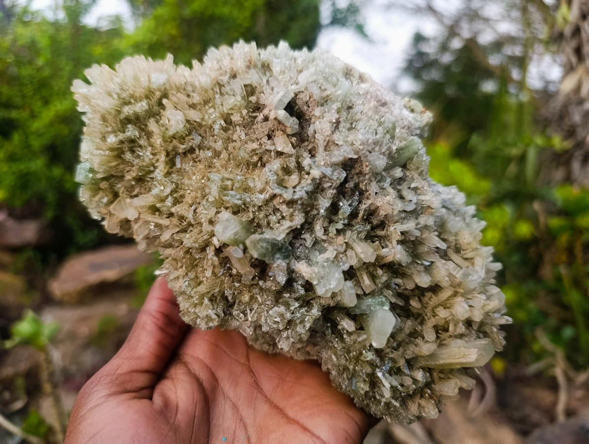 Natural Large Cabinet Size Classic Barite Specimen x 1 From Shangulowé Mine, Congo