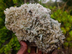 Natural Large Cabinet Size Classic Barite Specimen x 1 From Shangulowé Mine, Congo
