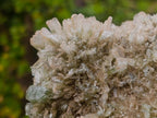 Natural Large Cabinet Size Classic Barite Specimen x 1 From Shangulowé Mine, Congo