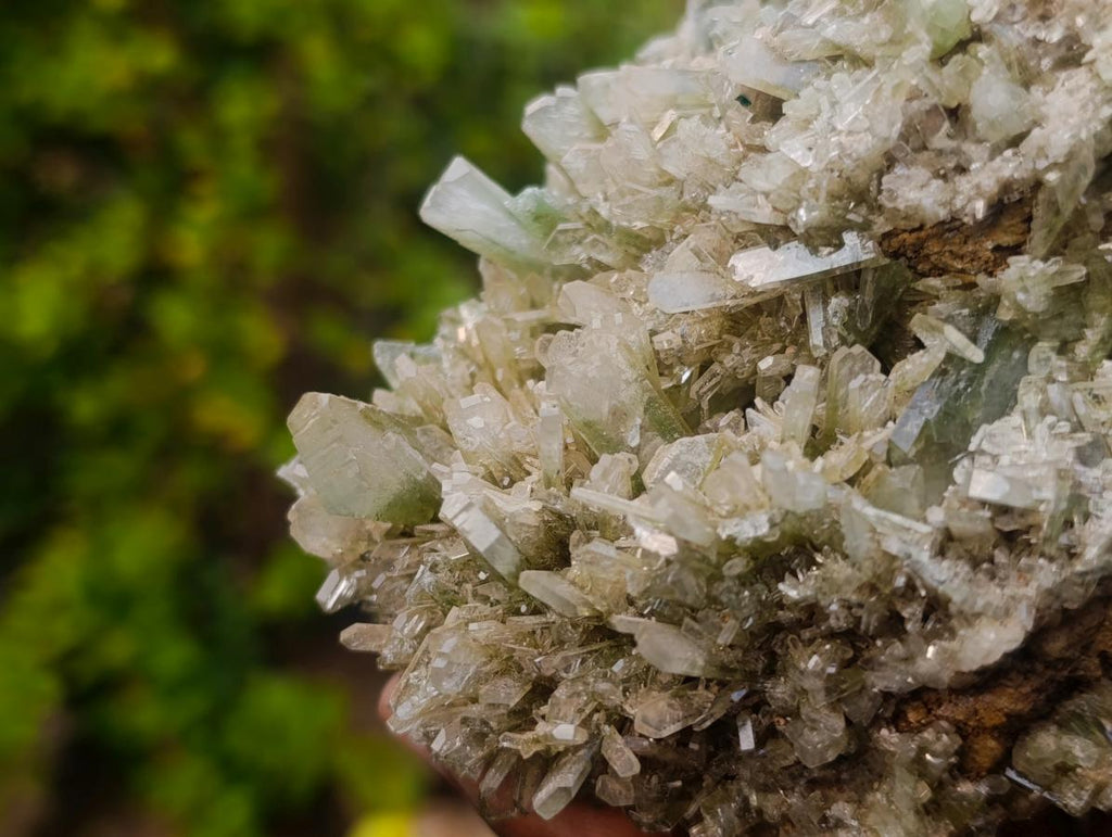 Natural Large Cabinet Size Classic Barite Specimen x 1 From Shangulowé Mine, Congo