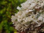 Natural Large Cabinet Size Classic Barite Specimen x 1 From Shangulowé Mine, Congo