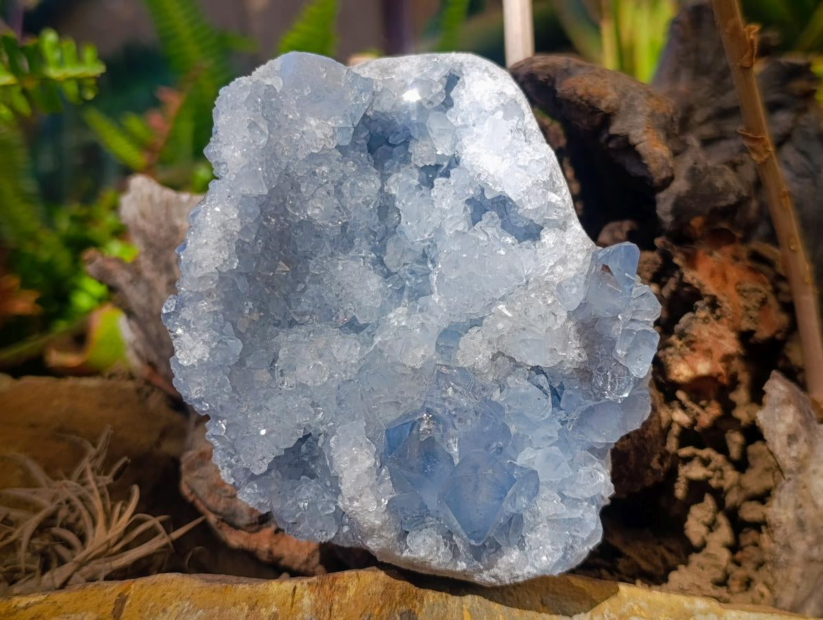 Natural Cabinet Size Blue Celestite Geode Specimen x 1 From Sakoany Madagascar