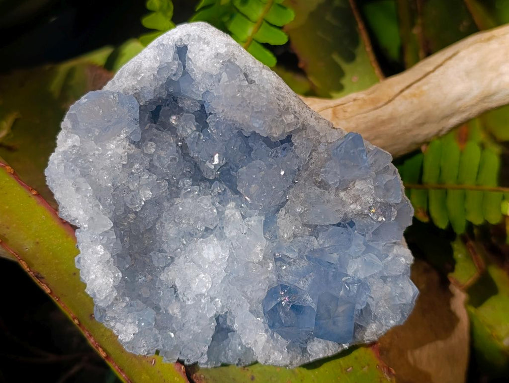 Natural Cabinet Size Blue Celestite Geode Specimen x 1 From Sakoany Madagascar