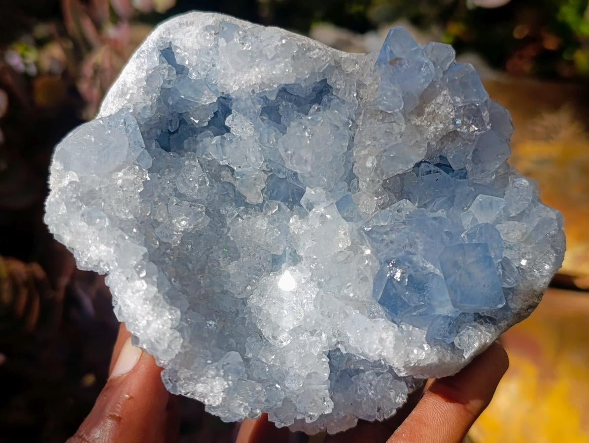 Natural Cabinet Size Blue Celestite Geode Specimen x 1 From Sakoany Madagascar