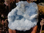Natural Cabinet Size Blue Celestite Geode Specimen x 1 From Sakoany Madagascar