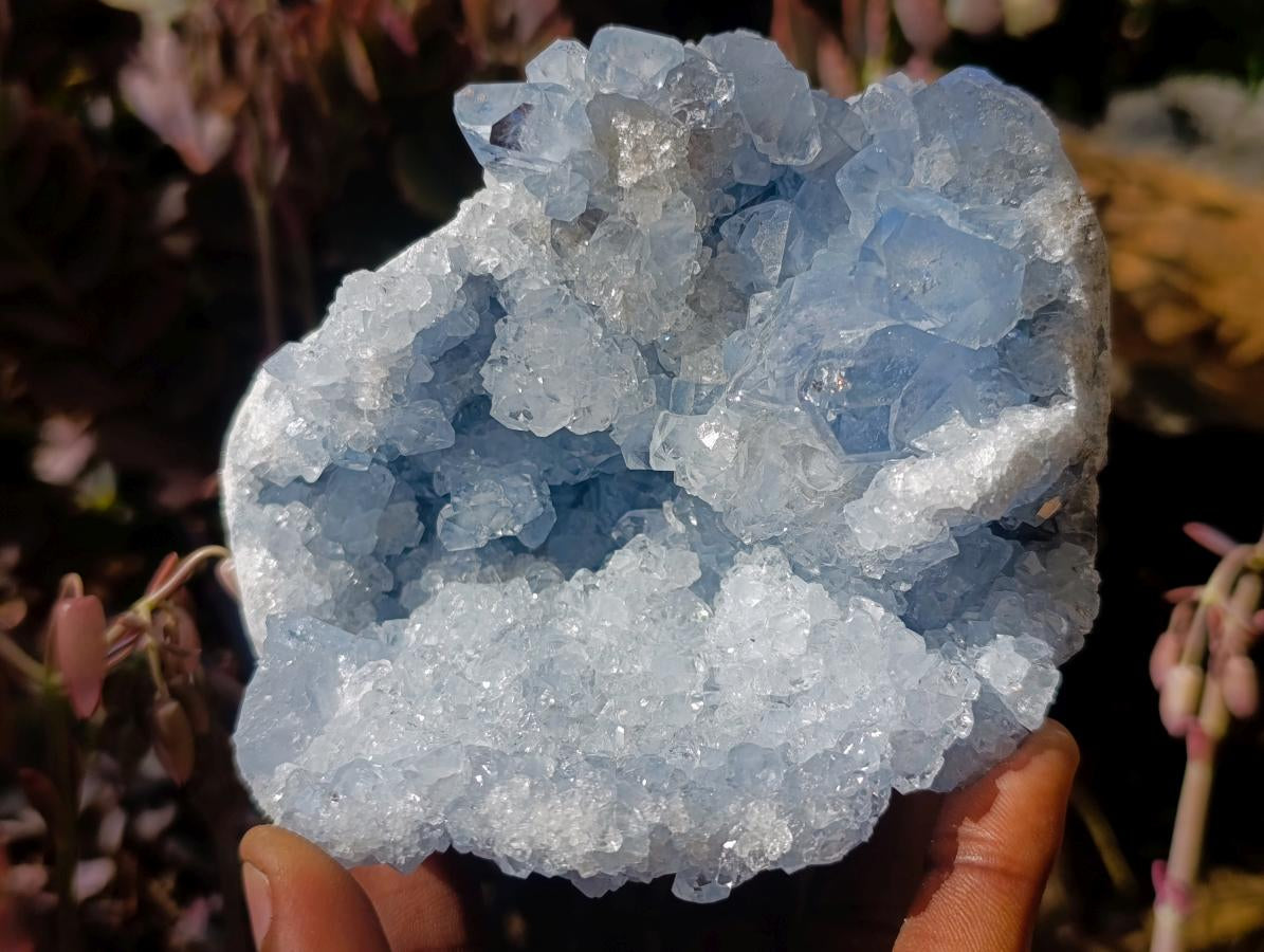 Natural Cabinet Size Blue Celestite Geode Specimen x 1 From Sakoany Madagascar