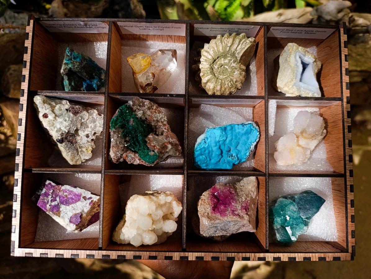 Natural Mixed Set of 12 African Specimens in a Wooden Display Box x 1 From Southern Africa