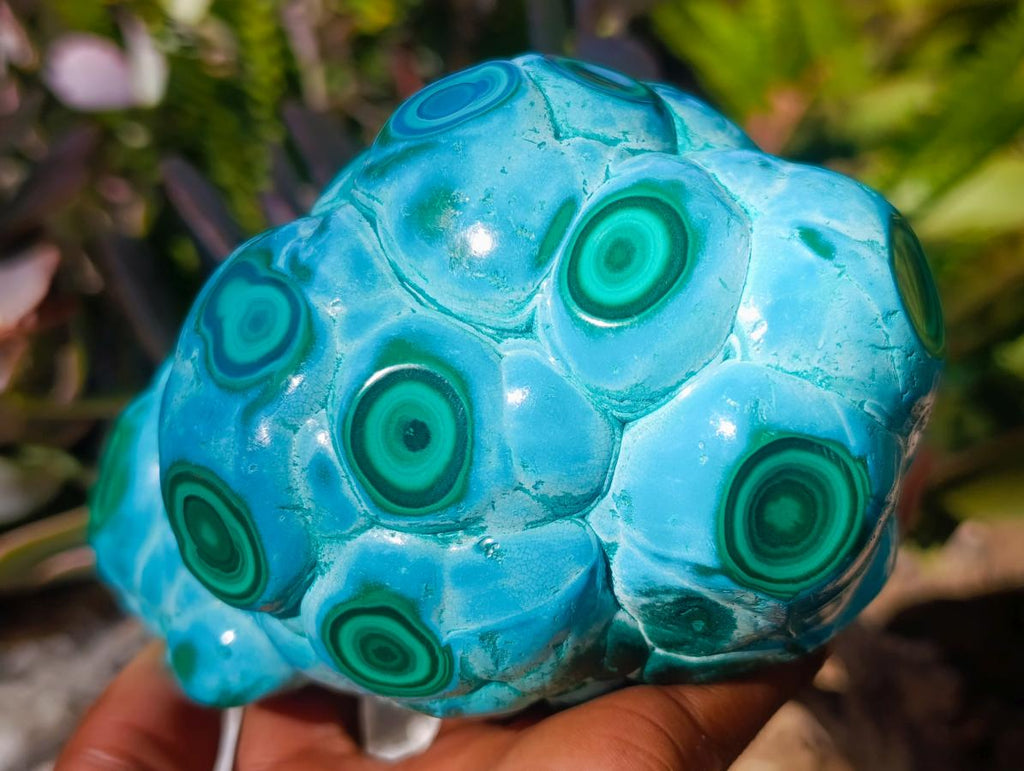 Polished Large Malacolla Specimen x 1 From Kulukuluku, Congo
