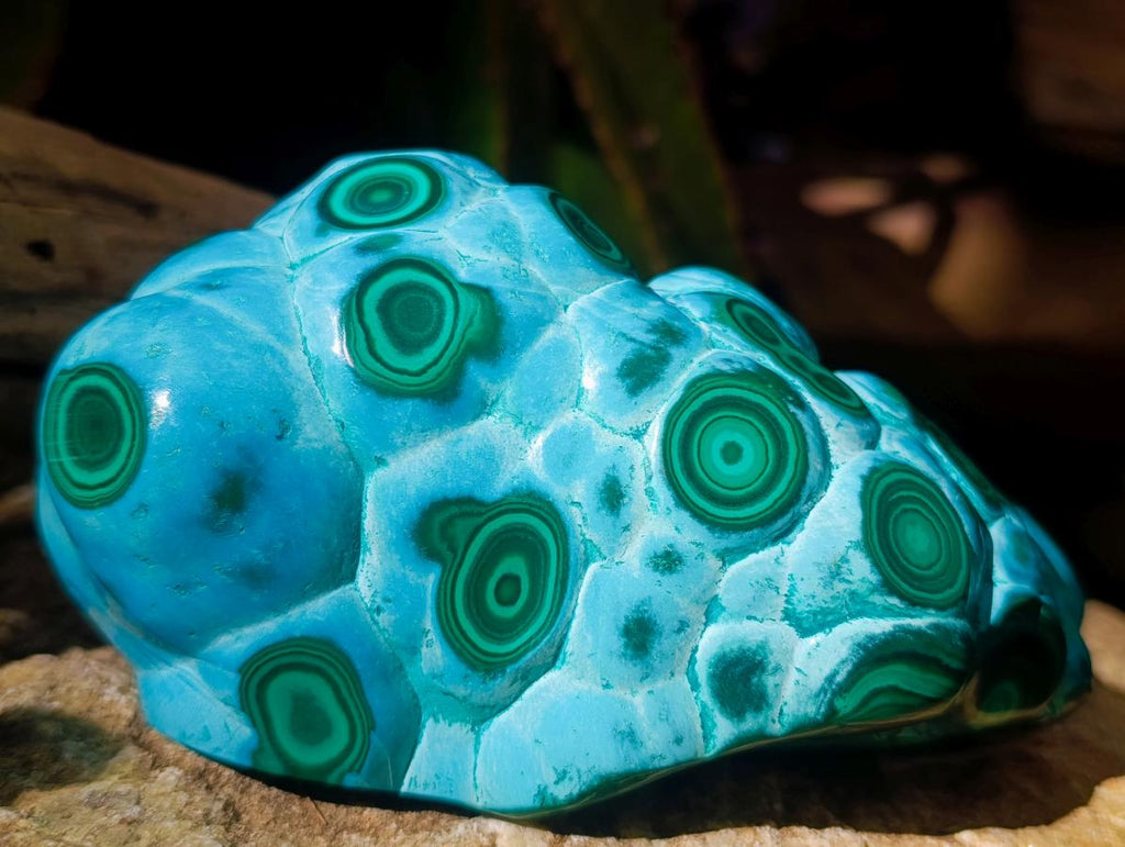 Polished Large Malacolla Specimen x 1 From Kulukuluku, Congo