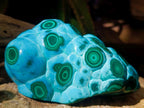 Polished Large Malacolla Specimen x 1 From Kulukuluku, Congo