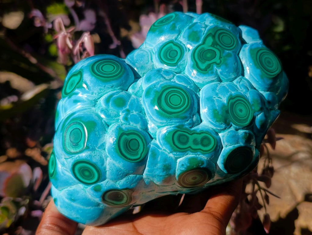 Polished Large Malacolla Specimen x 1 From Kulukuluku, Congo