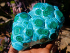 Polished Large Malacolla Specimen x 1 From Kulukuluku, Congo