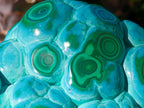 Polished Large Malacolla Specimen x 1 From Kulukuluku, Congo