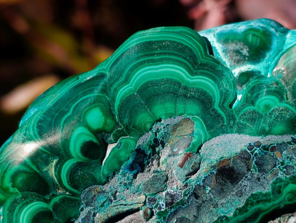 Polished Large Malacolla Specimen x 1 From Kulukuluku, Congo