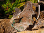 Natural Crystalline Smokey Quartz and Malachite in Dolomite Vug x 1 From Mindingi Mine, Congo