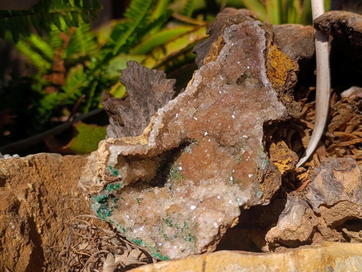 Natural Crystalline Smokey Quartz and Malachite in Dolomite Vug x 1 From Mindingi Mine, Congo