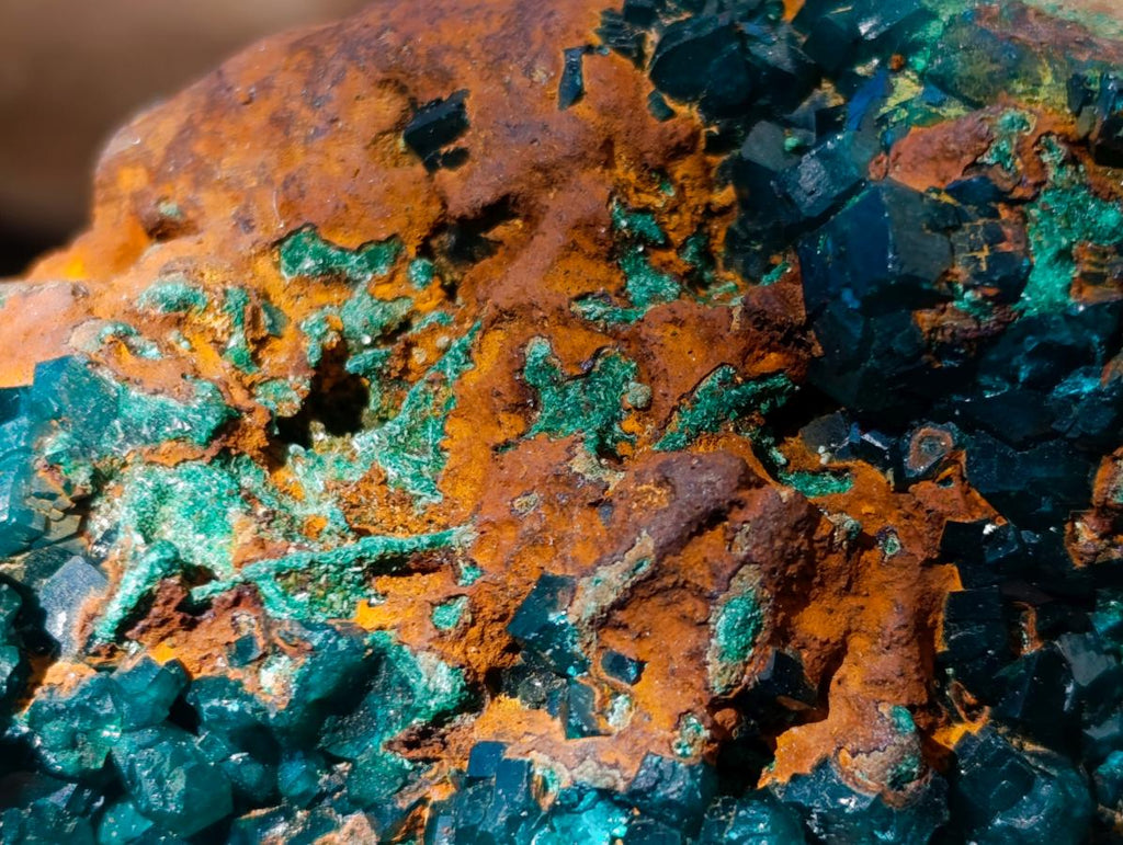 Natural Cabinet Size Dioptase Specimen with Siderite on a Dolomite Matrix x 1 From Mashamba East, Congo