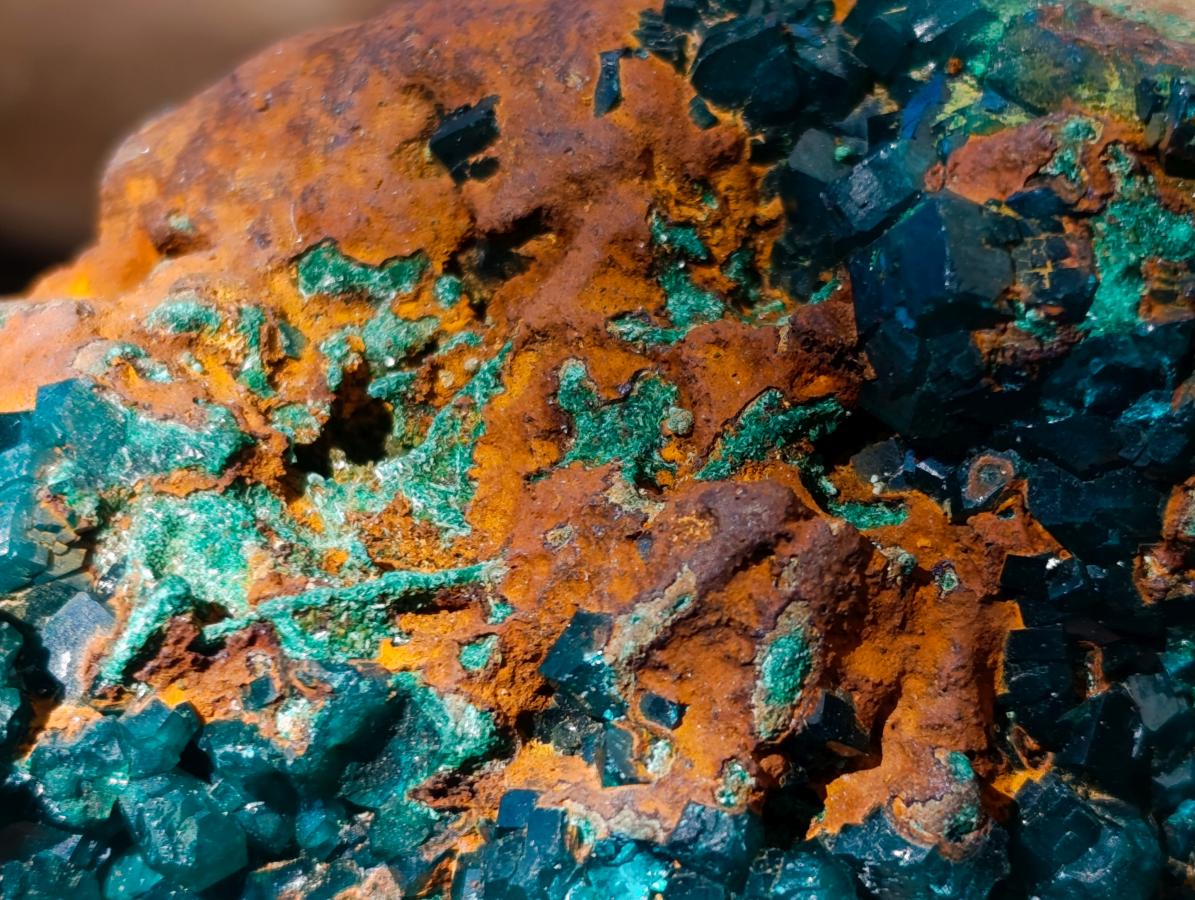 Natural Cabinet Size Dioptase Specimen with Siderite on a Dolomite Matrix x 1 From Mashamba East, Congo