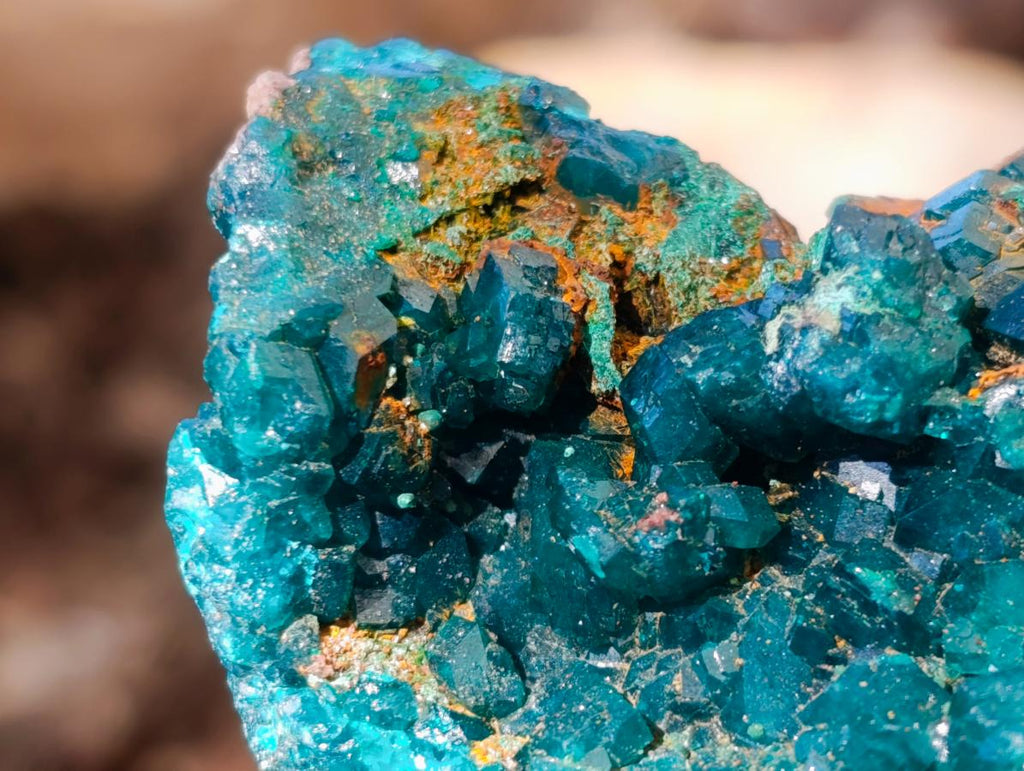 Natural Cabinet Size Dioptase Specimen with Siderite on a Dolomite Matrix x 1 From Mashamba East, Congo