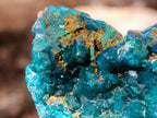 Natural Cabinet Size Dioptase Specimen with Siderite on a Dolomite Matrix x 1 From Mashamba East, Congo