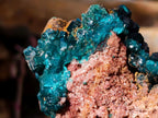 Natural Cabinet Size Dioptase Specimen with Siderite on a Dolomite Matrix x 1 From Mashamba East, Congo